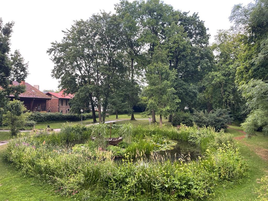 A pond in the middle of a park with trees.